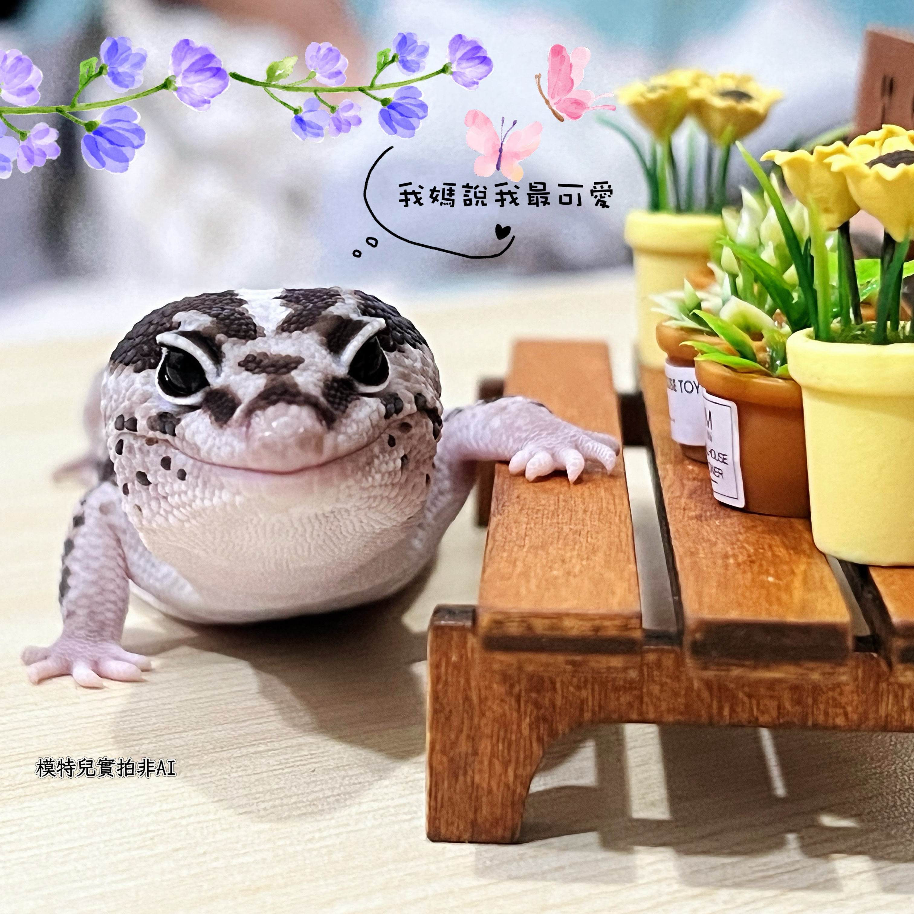 91肥肥